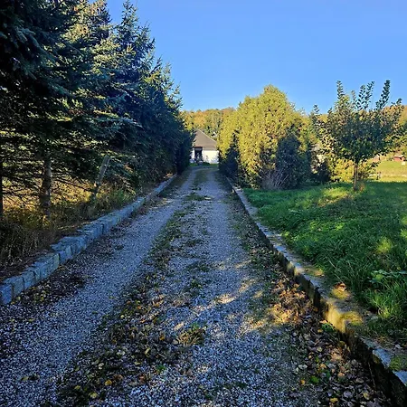 Zacisze Mysli Daire Elblag