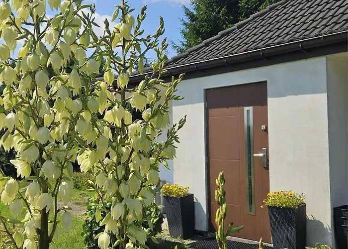 Zacisze Mysli Apartment Elblag